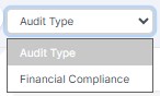 Audit Type dropdown options