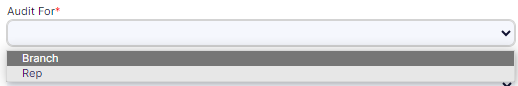 Audit For dropdown options