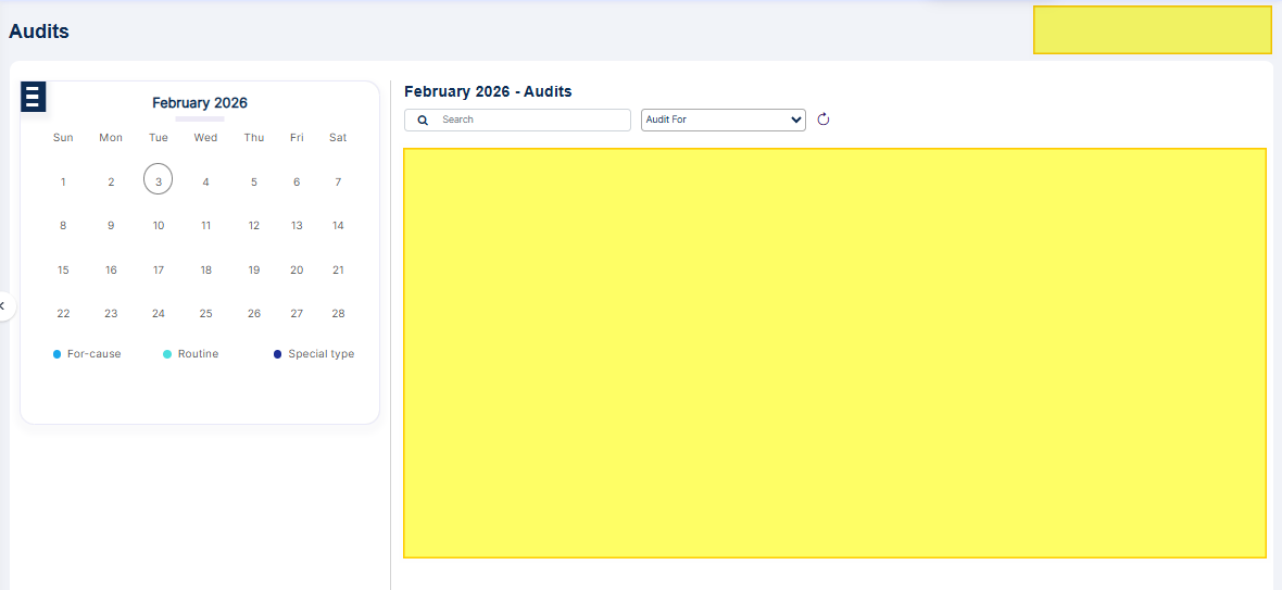 Audits page with limited functionalities for non-permitted user