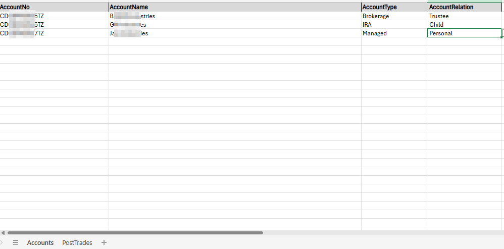 Sample view of data populated in the Accounts sheet