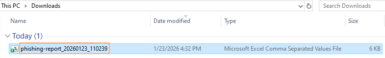Downloaded excel file content view