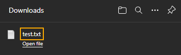 Downloaded file