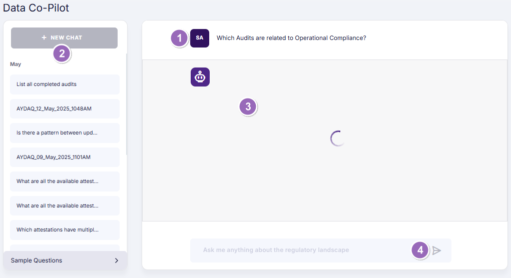 Policies and Procedures Data Co-Pilot processing