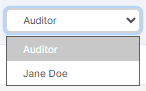 Auditor dropdown