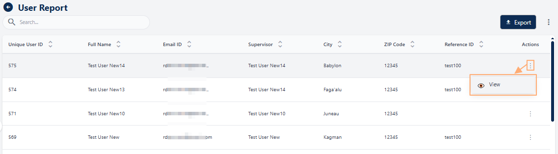 Clicking on the View menu option