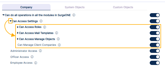 View of the expanding permission category after clicking on the left arrow icon against Can Access Settings
