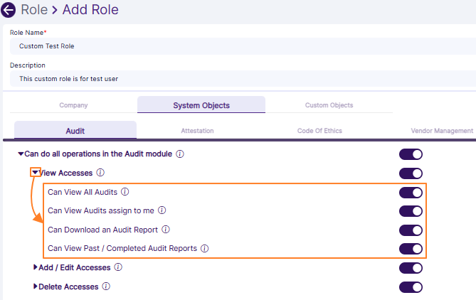 Loaded granular permissions when View Access category is expanded in Audit tab