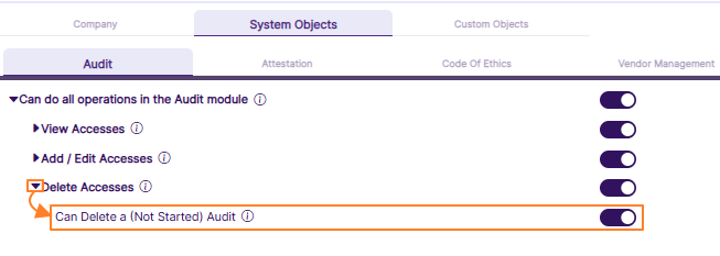 Loaded granular permission when Delete Access category is expanded in Audit tab