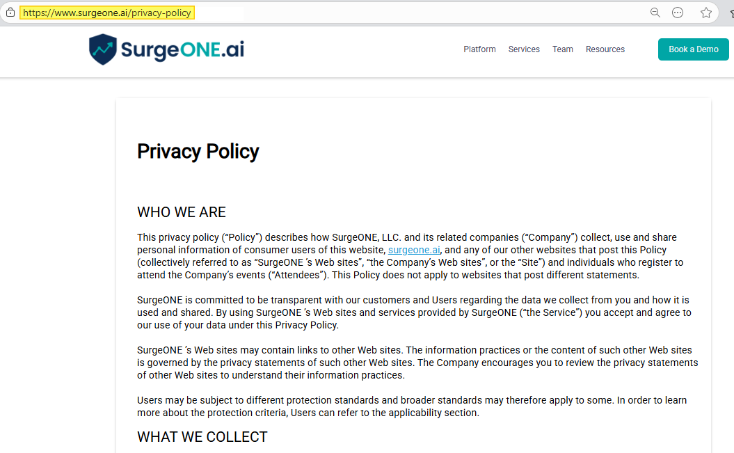 SurgeONE website Privacy Policy page