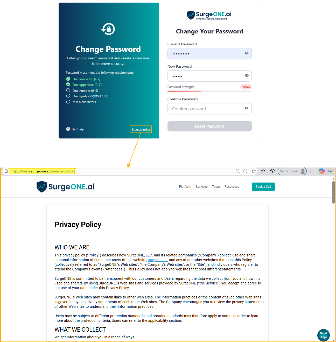 Privacy Policy option