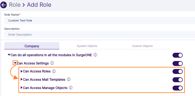 View of the expanding permission category after clicking on the left arrow icon against Can Access Settings