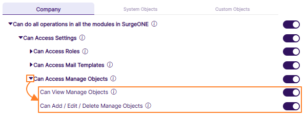 View of the expanding permission category after clicking on the left arrow icon against Can Access Manage Objects