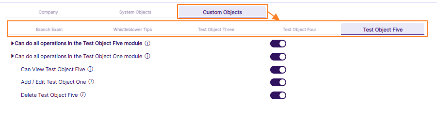 Custom Objects permissions